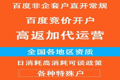 百度竞价赚钱的五大策略及成功案例解读